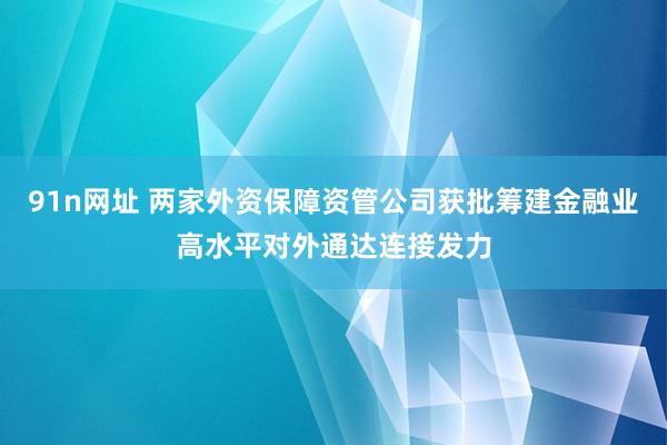 91n网址 两家外资保障资管公司获批筹建金融业高水平对外通达连接发力